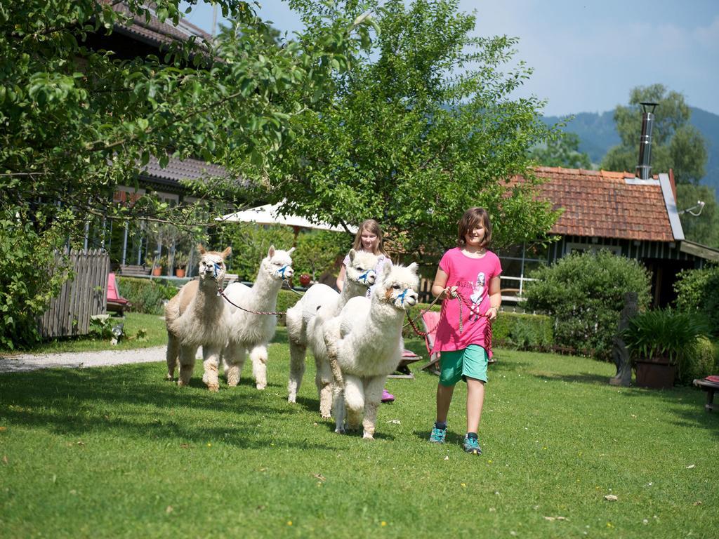Landhaus Benediktenhof บัดเทิลซ์ ห้อง รูปภาพ